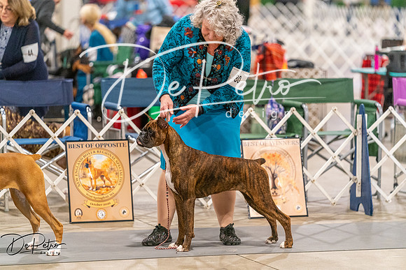 20261022-DSC00393