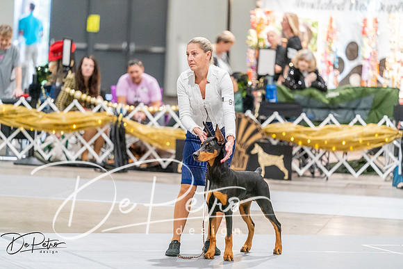 20260930-DSC07045