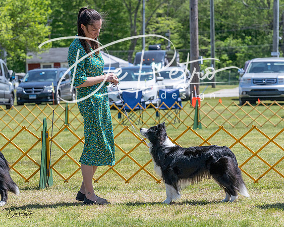 20230514-DSC04769