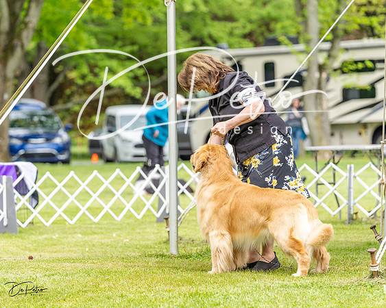 20230427-DSC03367