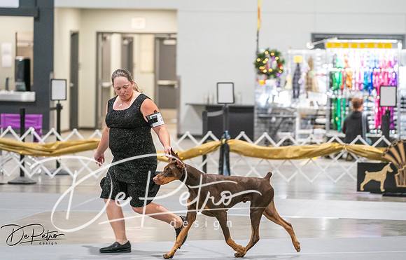 20260926-DSC04085