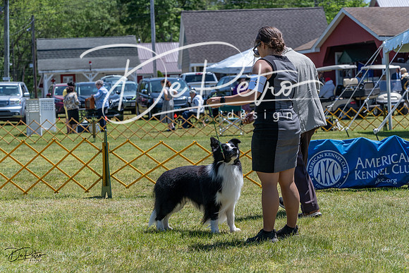 20230514-DSC04933