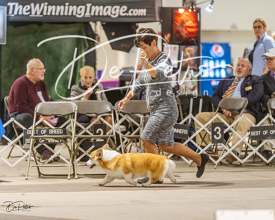20230401-DSC08087