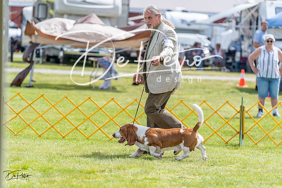 20230513-DSC09712