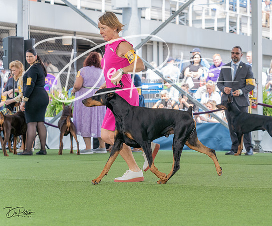 20230509-DSC01293