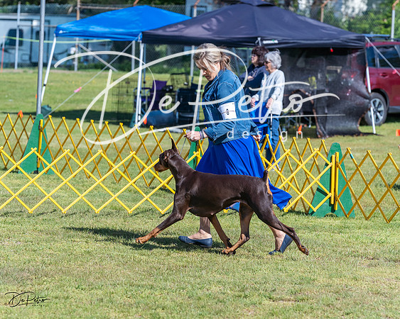 20230514-DSC02868