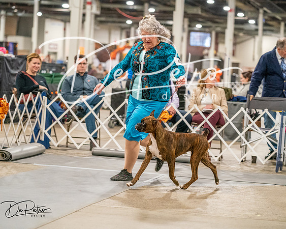 20261022-DSC01659