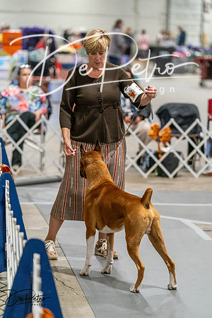 20261023-DSC05691