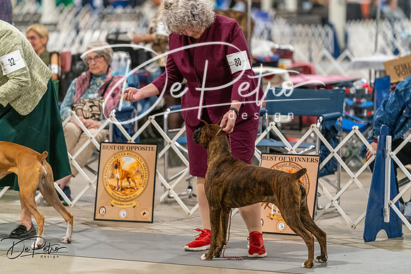 20261023-DSC05055