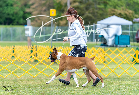 20230513-DSC07531