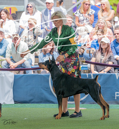 20230509-DSC01400