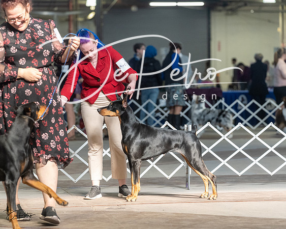 20230402-DSC08785
