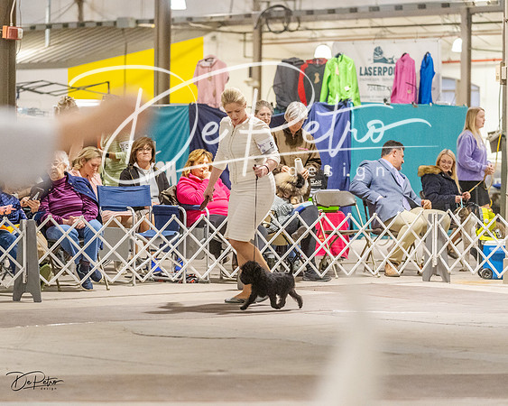 20230401-DSC08220