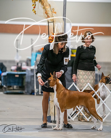 20261022-DSC02903