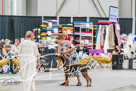 20261001-DSC07404