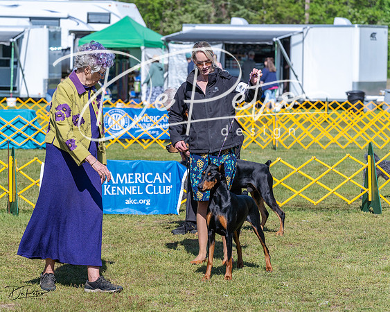 20230514-DSC03410