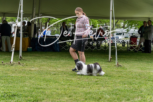 20230427-DSC04186