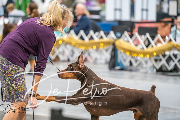 20260926-DSC04455