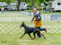 20230428-DSC07713