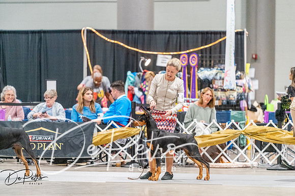20261001-DSC07187