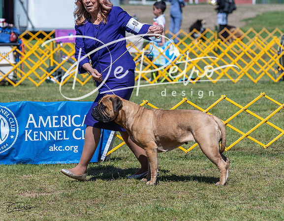 20230514-DSC03764