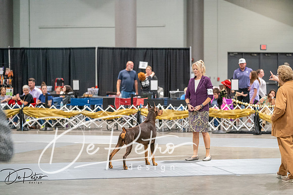 20260926-DSC04732