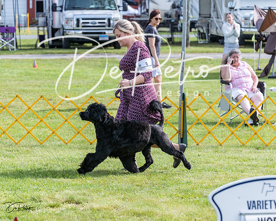20230513-DSC01021