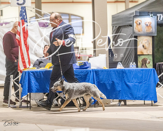 20230401-DSC07919