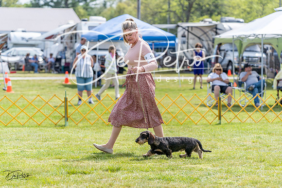 20230513-DSC09731