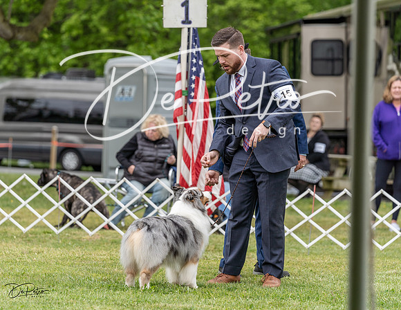 20230427-DSC07370