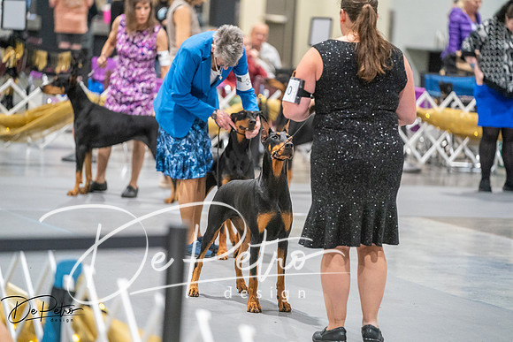20260926-DSC04139