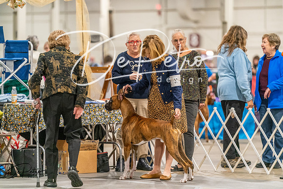 20261022-DSC01053