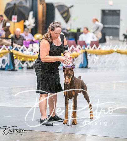 20260926-DSC04081
