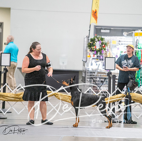 20260926-DSC04213