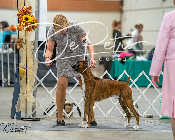 20261022-DSC02768