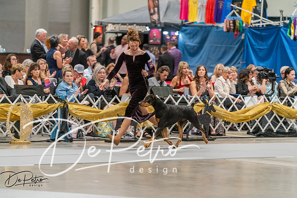 20260928-DSC06312