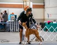 20261022-DSC02670