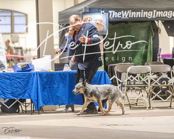 20230401-DSC07914