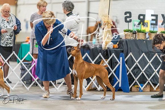 20261022-DSC00336