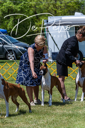 20230514-DSC04299