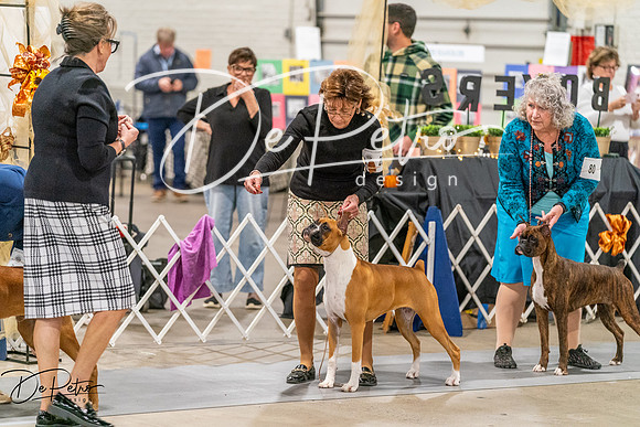 20261022-DSC00587