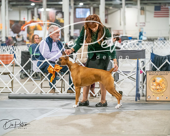 20261022-DSC01871