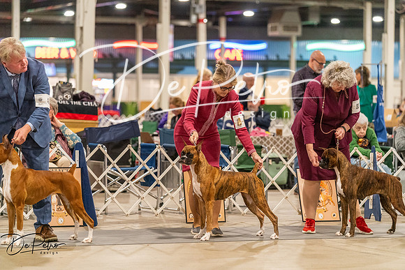 20261023-DSC05243