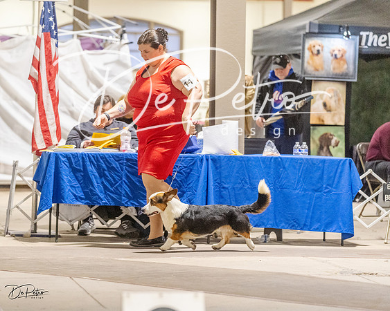 20230401-DSC08115