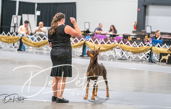 20260926-DSC04132