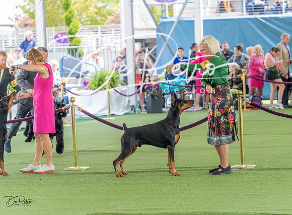 20230509-DSC01391