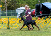 20230513-DSC08089