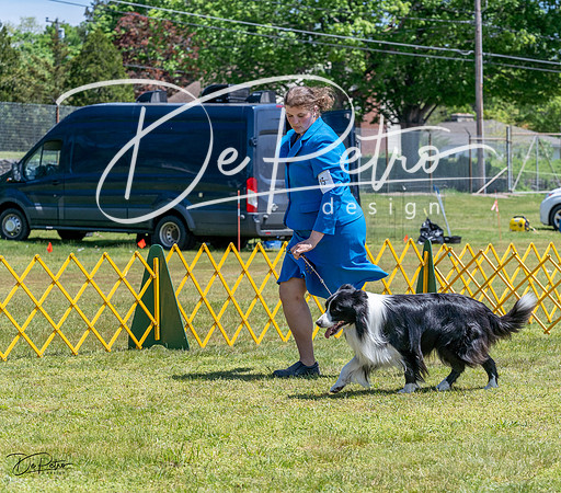20230514-DSC04832