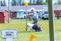 20230512-DSC05405