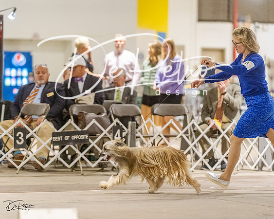 20230401-DSC07989